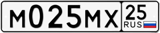 Гос номер М025МХ 25
