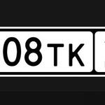 Красивый гос номер М008ТК 196
