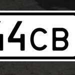 Красивый гос номер Р444СВ 196